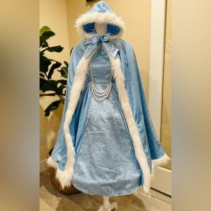 Cinderella Costume